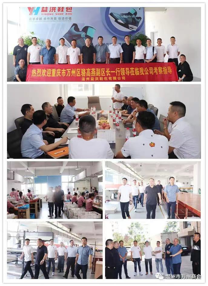 标题：万州区骆高燕副区长一行莅临温州考察指导，我司总经理谭孝发陪同